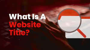What is a Website Title